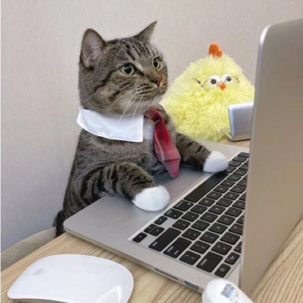 Meet your Posher, Annalise